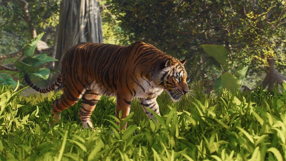 Planet Zoo 2 krijgt nu al een patch en verbreekt record van voorganger op Steam