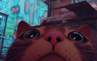FunQuarter #630: Niet voor de poes