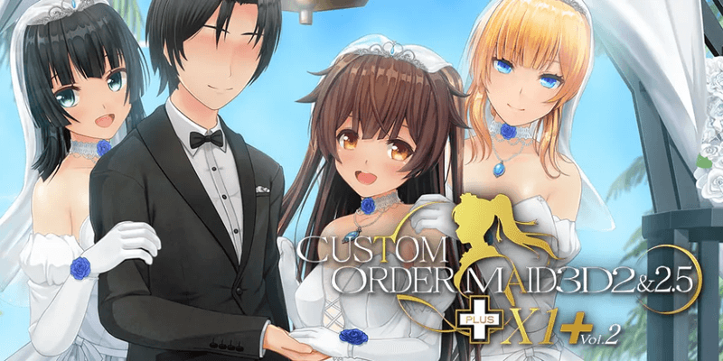 Custom Order Maid 3D2&2.5+X1 Cover