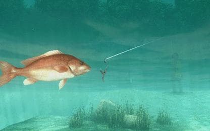 Iedereen kan nu een voorproefje krijgen van About Fishing