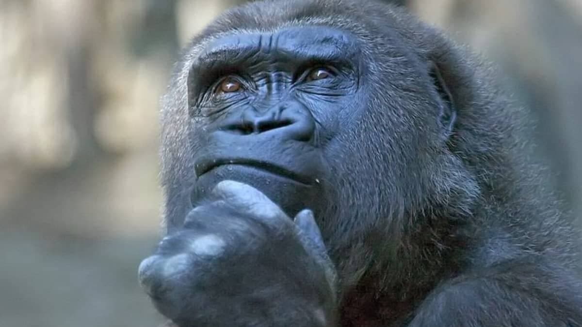 Vraag aan de redactie: Zijn er reviews die je achteraf graag anders had gedaan?