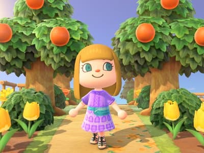 Animal Crossing: New Horizons