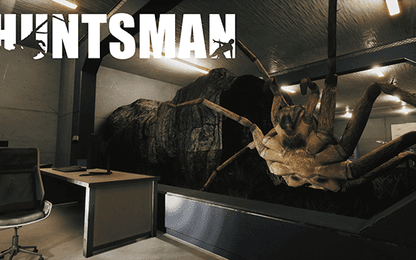 Mensen met arachnofobie kunnen Huntsman misschien beter links laten liggen